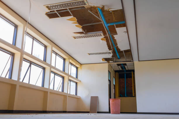 Best Water damage restoration near me  in Oracle, AZ