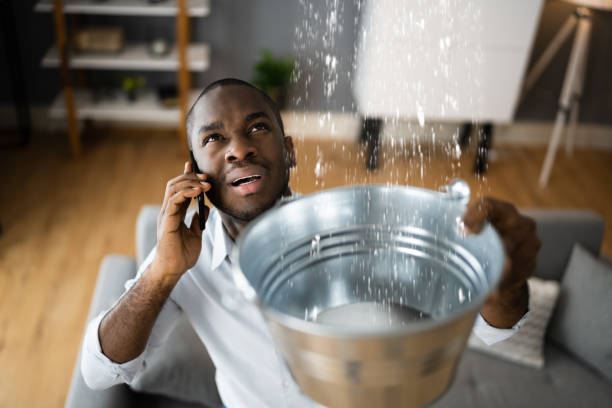 Best Water damage restoration near me  in Oracle, AZ