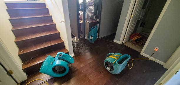 Best Fire Damage Restoration  in Oracle, AZ