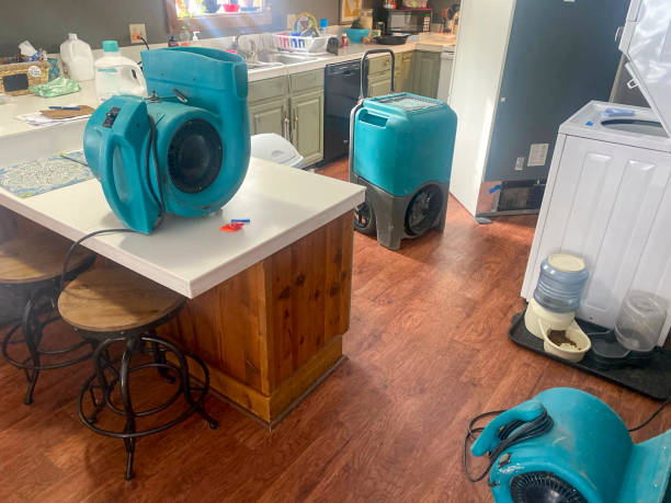 Best Fire Damage Restoration  in Oracle, AZ