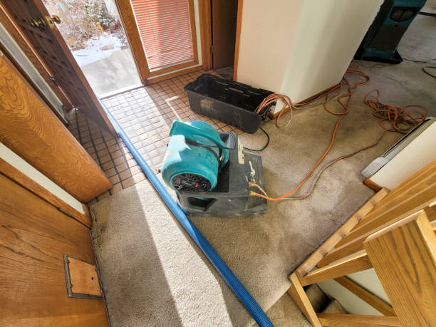 Best Fire Damage Restoration  in Oracle, AZ