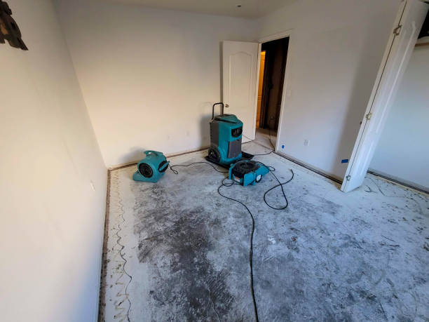 Best 24-hour water damage restoration  in Oracle, AZ