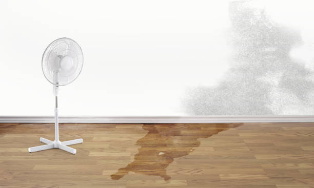 Best Ceiling water damage repair  in Oracle, AZ
