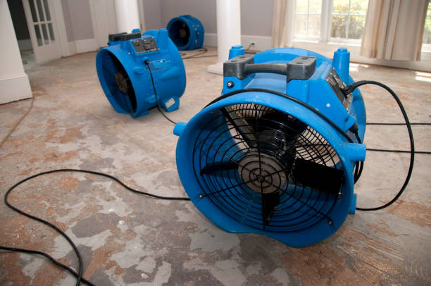Best Emergency water damage restoration  in Oracle, AZ