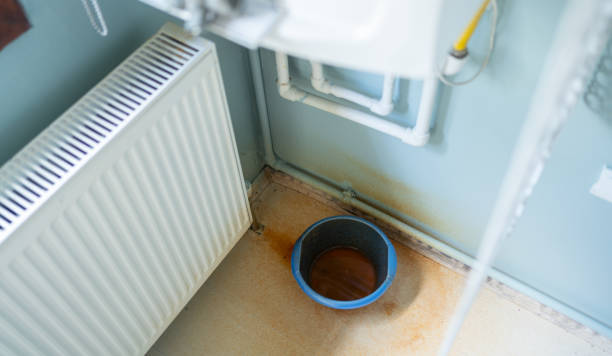 Best Mold removal after water damage  in Oracle, AZ