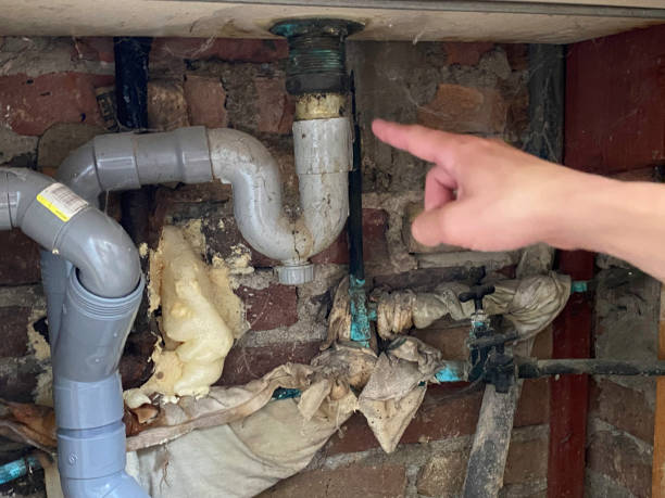 Trusted AZ Water damage restoration Experts