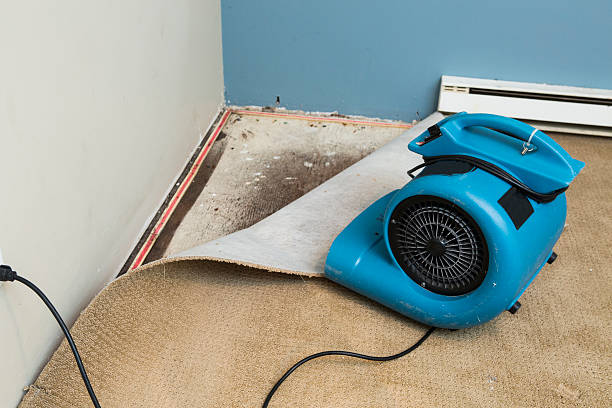 Best Flood restoration services  in Oracle, AZ